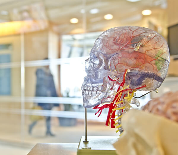 Hands-on patient care training